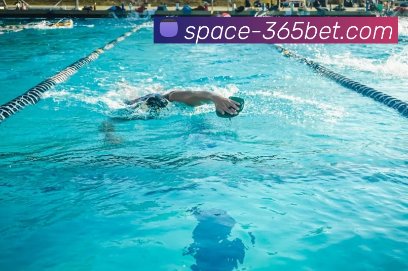 App Interface Preview
